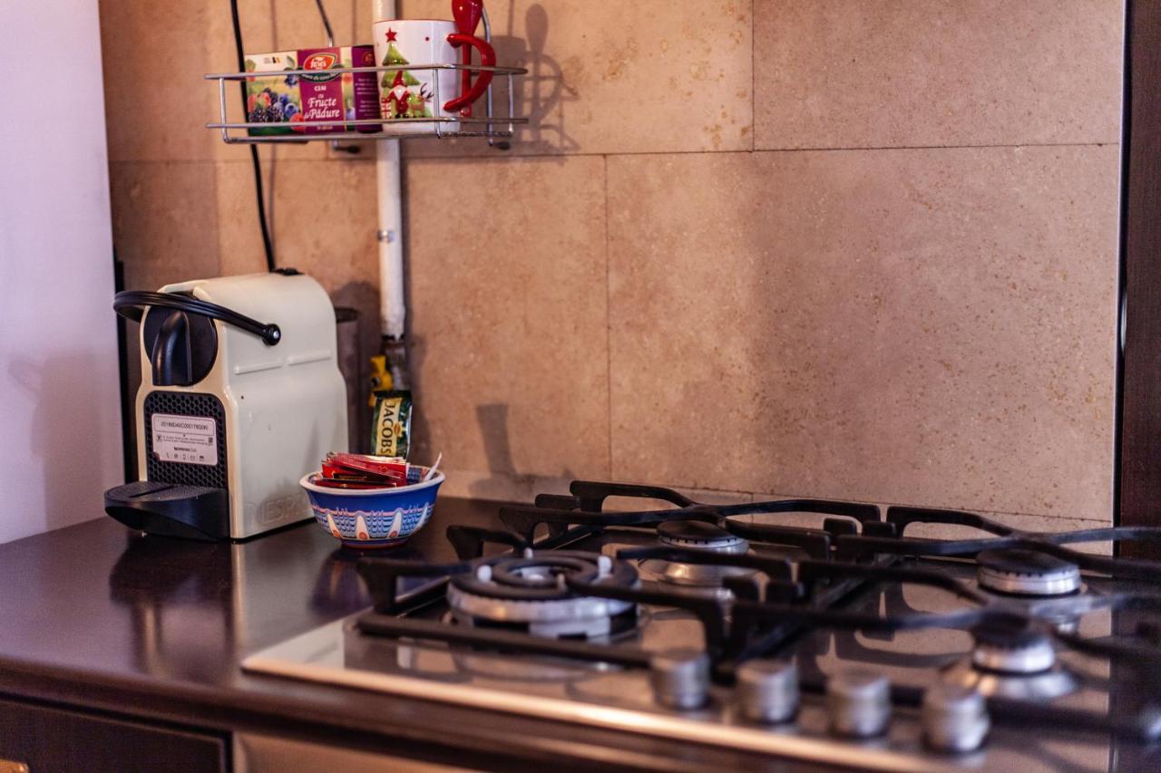 Spacious Apartment In City Centre Iasi Ngoại thất bức ảnh